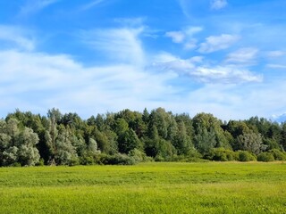 field and blue sky