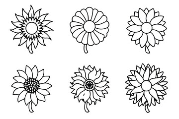 Sunflower flower line art Intricate sunflower designs in minimalist style