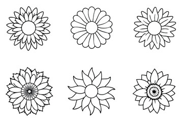 Sunflower flower line art Minimalist sunflower sketches in detail
