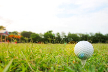 Golf balls and tees placed on the grass.