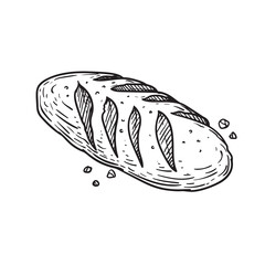 Hand drawn sketch style bread bun. Best for bakery designs. Vector illustration in retro style isolated on white.