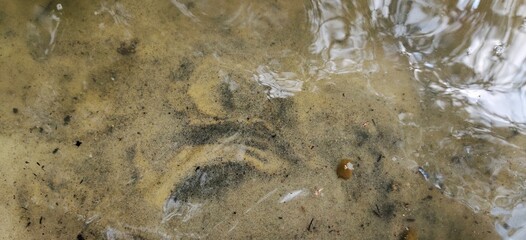 Clear water on the lake. Vacation in summer. Sea bottom. Sand