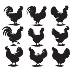 Set of Chicken silhouettes isolated on a white background, Vector illustration.