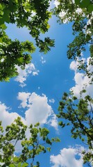 Obraz premium The perspective of lying on the ground looking up at the sky,sunny day with a clear blue sky 