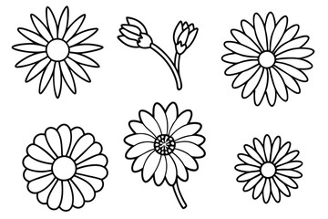 Daisy flower line art Intricate daisy designs in minimalist style