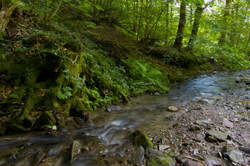 Górski strumień, Jaszowiec, Ustroń © Jarosław