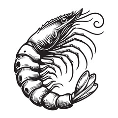 New shrimp fish silhouette vector and logo style with white background and coloring book 