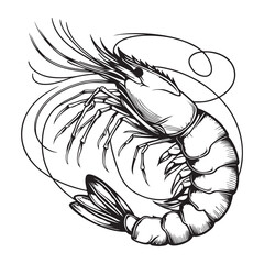 New shrimp fish silhouette vector and logo style with white background and coloring book 