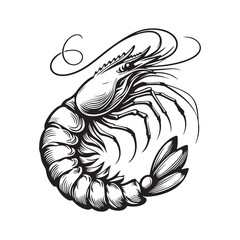 New shrimp fish silhouette vector and logo style with white background and coloring book 