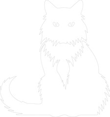 Obraz premium Birman Cat outline