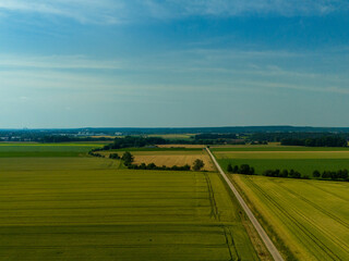 Fototapeta premium landscape with a road