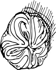 Drawing of pastry products, desserts. Food menu design template. Hand drawn sketch vector illustration. Brioche
