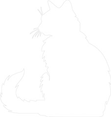 Fototapeta premium Highlander Cat outline