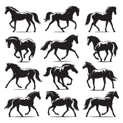 Set of horse silhouettes isolated on a white background, Vector illustration.