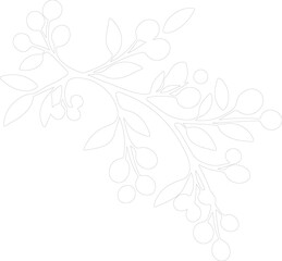 Fototapeta premium Mistletoe outline