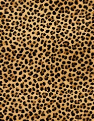 
Leopard animal background, fur texture real fluffy hair