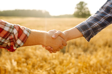 Handshake. Two farmers in wheat field making agreement with handshake at sunset. Agricultural...