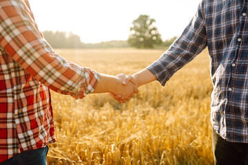 Handshake. Two farmers in wheat field making agreement with handshake at sunset. Agricultural business.