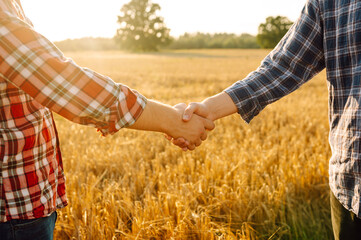Handshake. Two farmers in wheat field making agreement with handshake at sunset. Agricultural business.