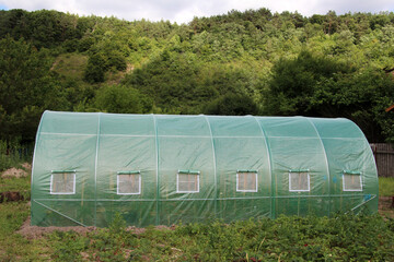 Greenhouse in the garden