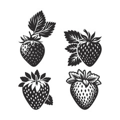 Set of strawberries, silhouettes and strawberries icons isolated on white background.	