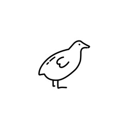 animal outline icon