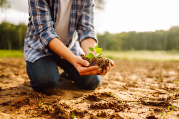 Man holds a green plant in his hands. In palms of farmer, sprout in fertile land. Agriculture...