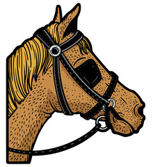 Blinkers horse tack on horse eyes color sketch engraving PNG illustration. T-shirt apparel print design. Scratch board imitation. Black and white hand drawn image. © Oleksandr Pokusai