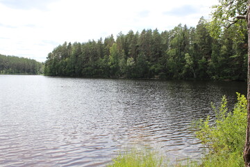 Fototapeta premium Crystal-clear lake and dense forest.