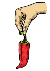 Hand with chili pepper color sketch engraving PNG illustration. T-shirt apparel print design. Scratch board imitation. Black and white hand drawn image.