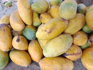 yellow mango fruit pile pattern.Mangifera indica fruit pile pattern 