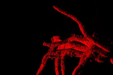 Raiz de &aacute;rvore de cor vermelha no fundo preto.