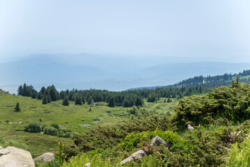 Fototapeta premium Summer Mountain Landscape with Cloudy Sky . Vitosha Mountain ,Bulgaria .Black peak 