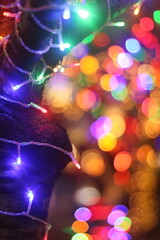 christmas tree lights