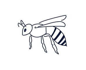  bee insect  honey, cute illustration white background 