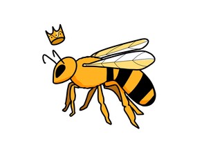 yellow bee queen with crown, honey, insect cute illustration 