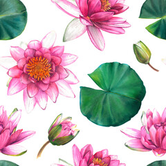 Water lilies. Watercolor seamless pattern with pink flowers and green leaves on white background. Hand painted botanical drawing. Floral illustration for textile design, wallpaper or wrapping paper.