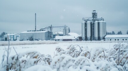 Obraz premium A snowy landscape with industrial silos and buildings in the background. The scene is dominated by the large silos, which are covered in snow and stand tall against the gray winter sky