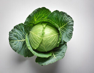 Fototapeta premium fresh cabbage isolated on white background