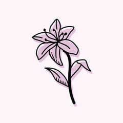 Lilly Flower Doodle Hand Drawn is detailed minimal flower icon which is created with love and care. 