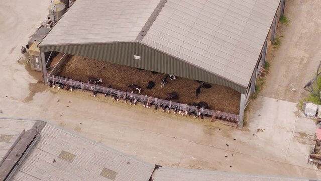 Aerial of a farm, cows feeding in the barn