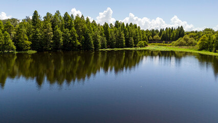 Fototapeta premium A drone view of the natural wild Florida