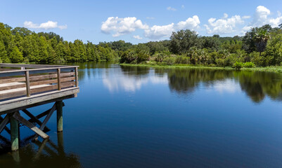 A drone view of the natural wild Florida