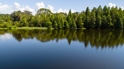 Fototapeta premium A drone view of the natural wild Florida