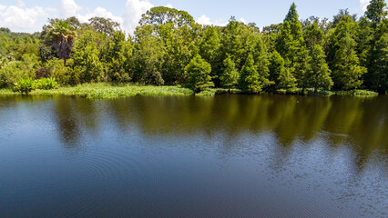 Fototapeta premium A drone view of the natural wild Florida