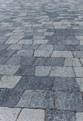 grass, path, road, stone, park, walkway, sidewalk, brick, pavement, pathway, landscape, nature, concrete, texture, paving, summer, street, tree, tobolsk