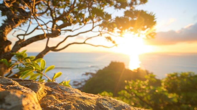 Serene Sunset Scene Featuring Lichen-Covered Rock and Mountain Range