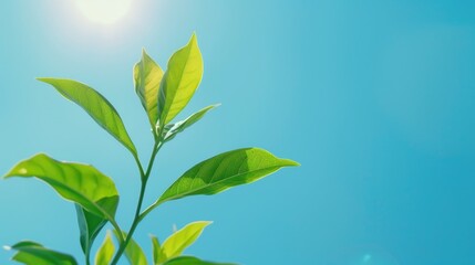 Lone Vibrant Green Leaf Against Blue Sky and Clouds