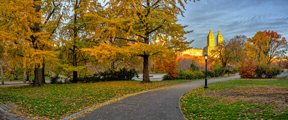 Autumn in Central Park