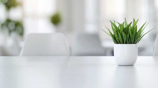 Serene Indoor Setting Showcasing White Table and Potted Plant